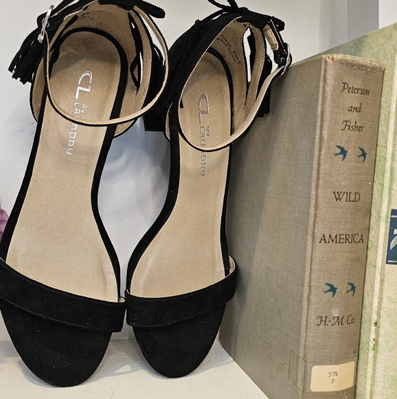 Black suedette ankle strap heeled sandals with tassels - Picture 2 of 7